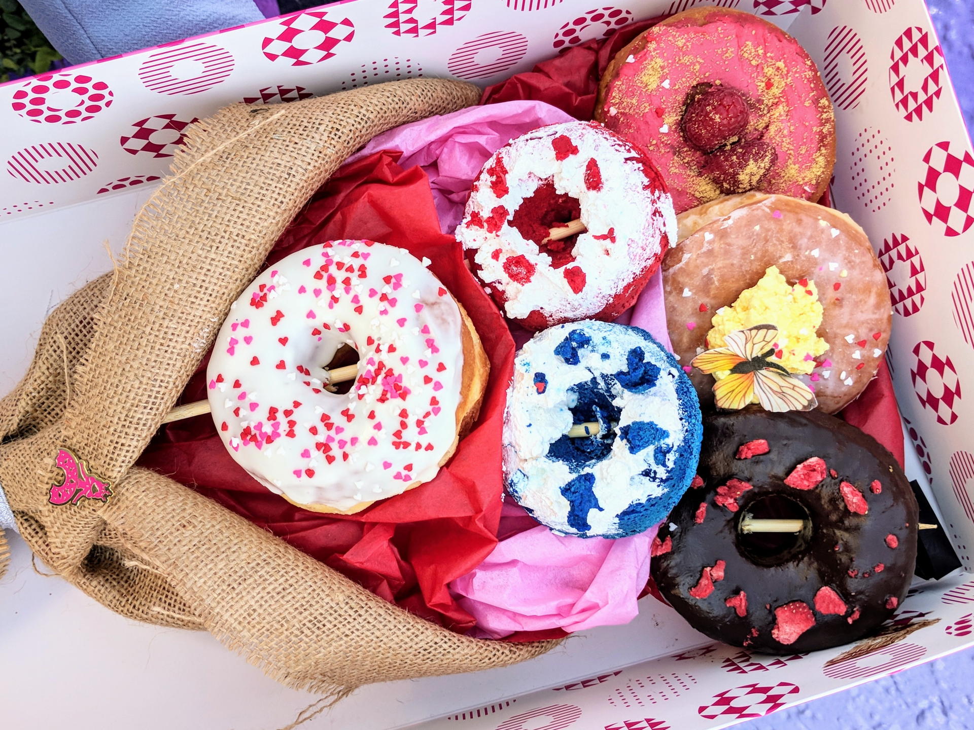 Donut Princess - Foodzooka Splat Feature